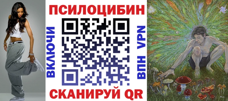 сколько стоит  Шимановск  Галлюциногенные грибы Psilocybine cubensis 